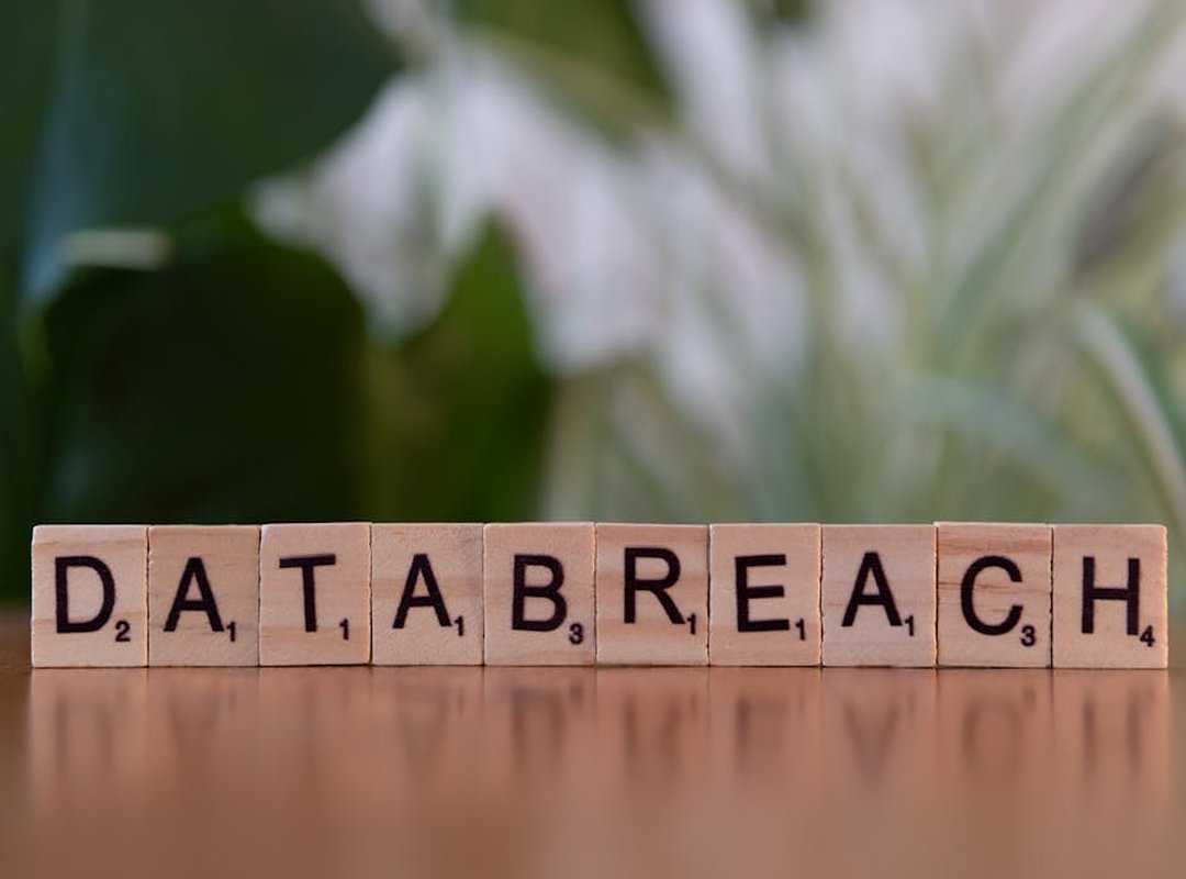 The Scope of the Breach: What Information Was Made Public?