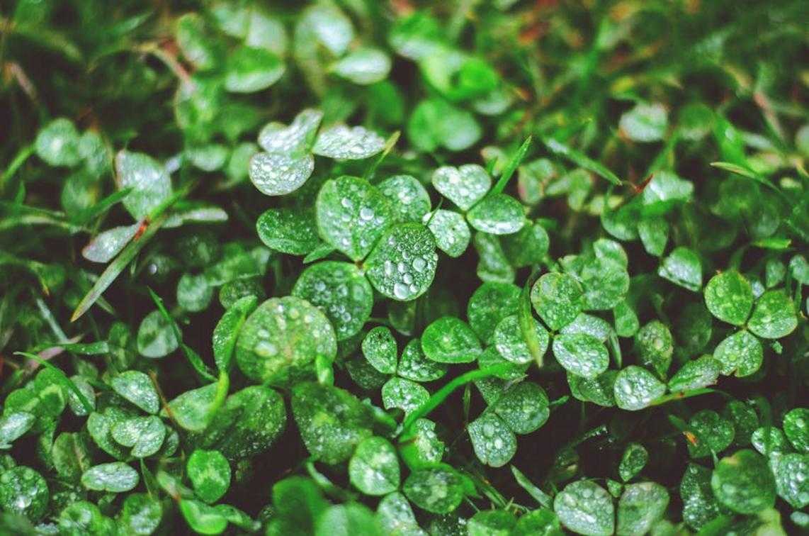 green beauty