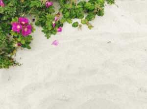 neringa kriziute edad