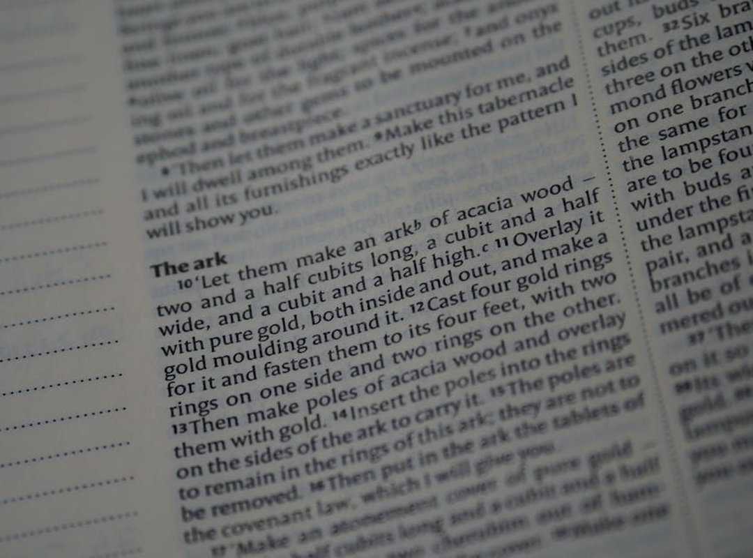 Verse 2: Deepening the Narrative