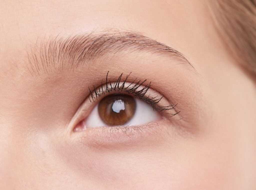 Zosisfod Eye Brow Pencil